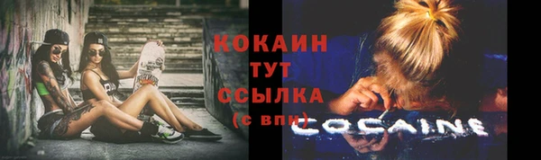 сатива Волосово