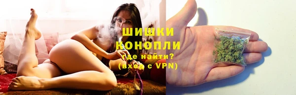 сатива Волосово