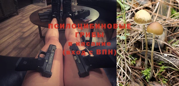 МДПВ Верея