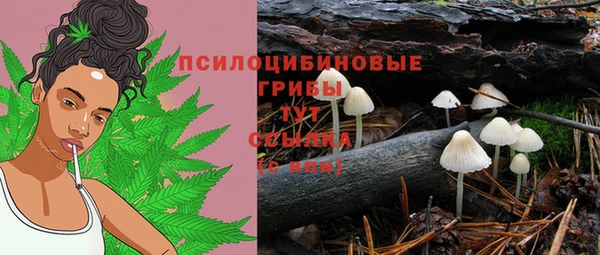 сатива Волосово