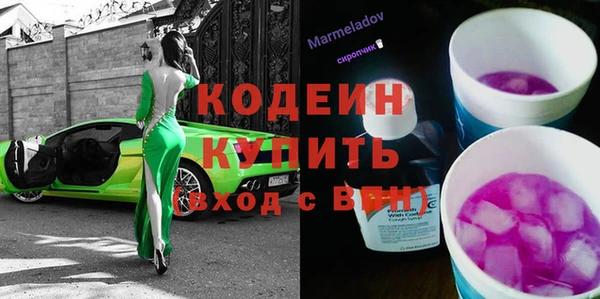 индика Володарск
