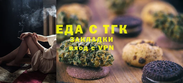 индика Володарск