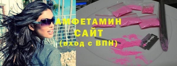 индика Володарск