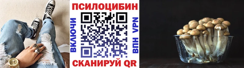 как найти закладки Карабулак Псилоцибиновые грибы MAGIC MUSHROOMS